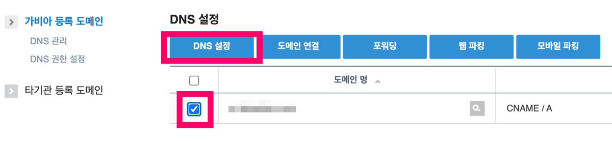 dns-설정